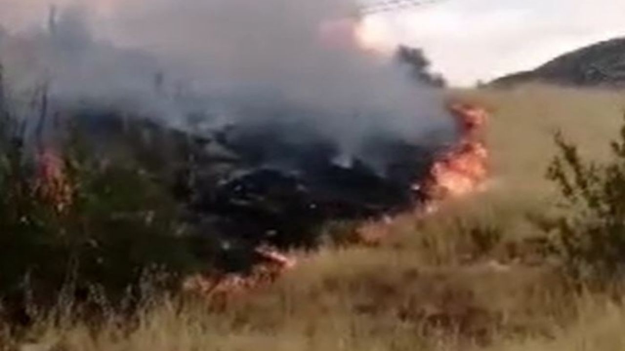 Isparta’da Şaşırtan Yangın! Sadece Bir Kuş Sebep Oldu (1)