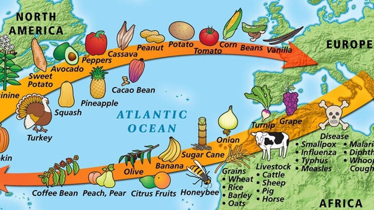 Şakşuka'nın kökeni