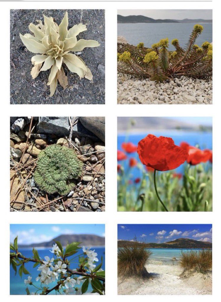 Salda Gölü Triatlonu'na Tepki Mikrobiyalitleri Ezdirttiniz 2