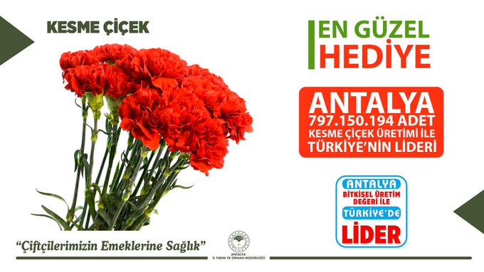 Tarımda Gurur Tablosu Antalya Türkiye’yi Geride Bıraktı12