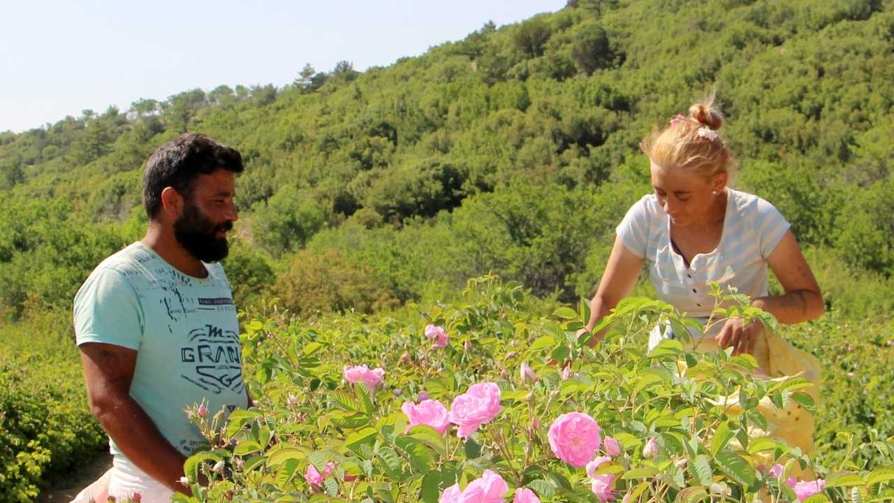 Zirai Don Isparta’nın Gülünü Vurdu3