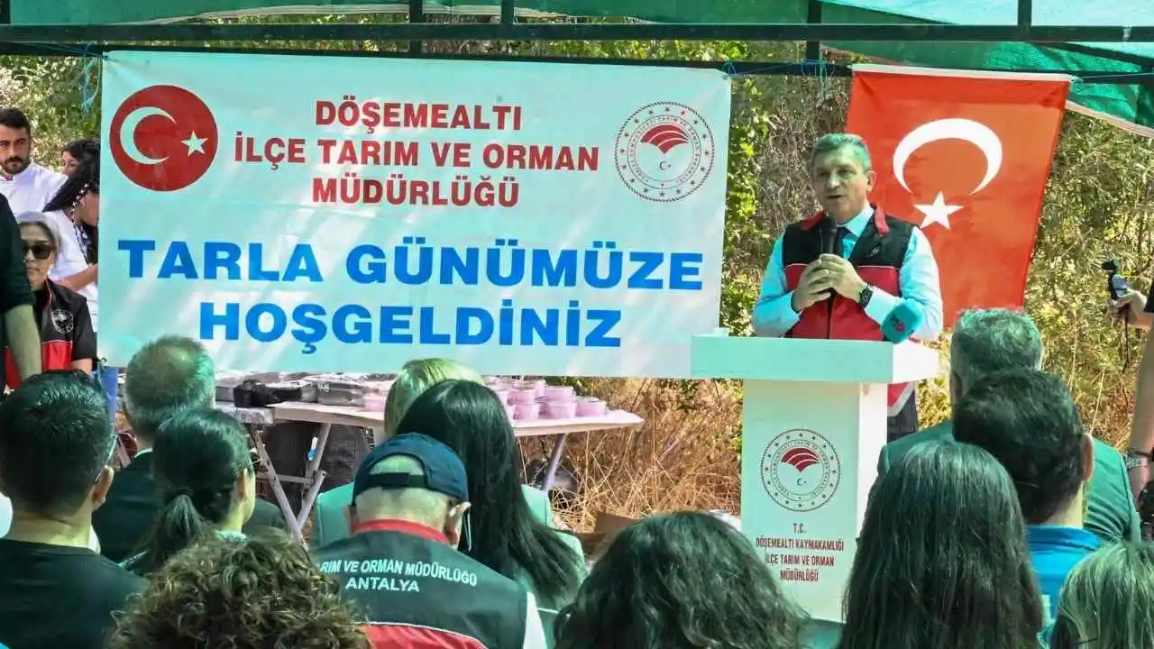akdenizgercek-antalya-valisinden-finike-portakali-mujdesi-4.webp
