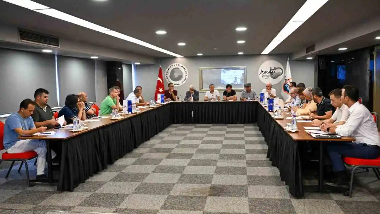 akdenizgercek-zeytin-hasadi-antalyada-masaya-yatirildi-2.webp