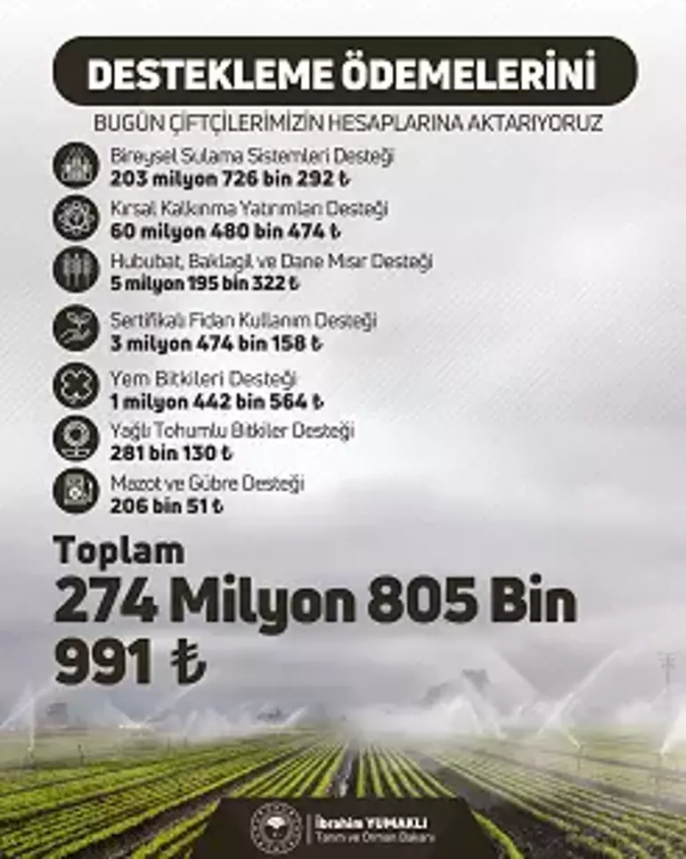 68c45457d500d97442a51b95.webp