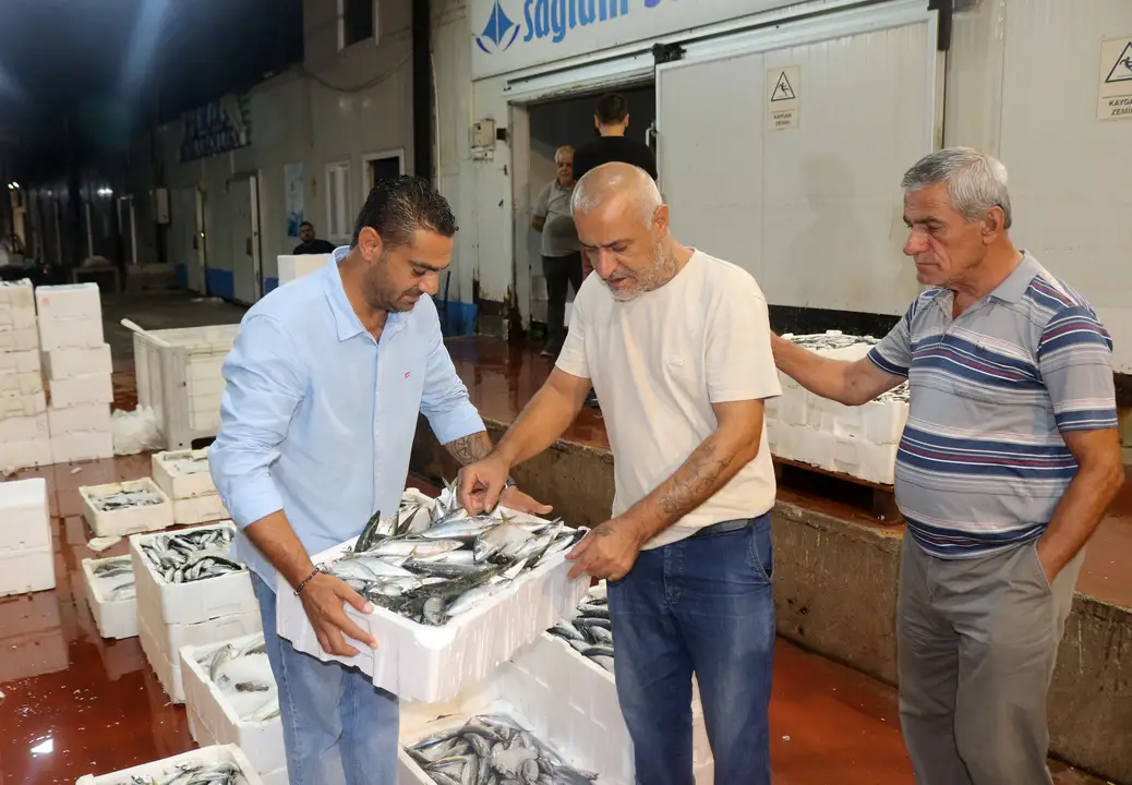 akdenizde-av-sezonu-basladi-antalyada-1-kilo-fiyatina-1-kasa-balik-6.webp