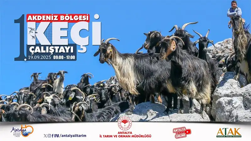 228-202509151304151akdeniz-gercek.webp