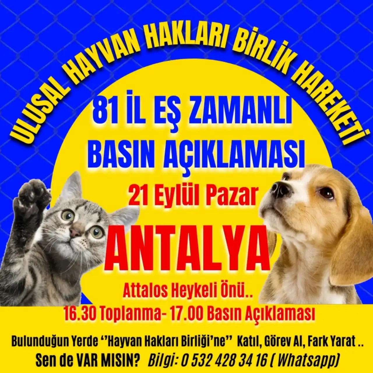 hayvanseverler-81-ilde-sokaga-cikiyor-antalyada-buyuk-bulusma-4.webp
