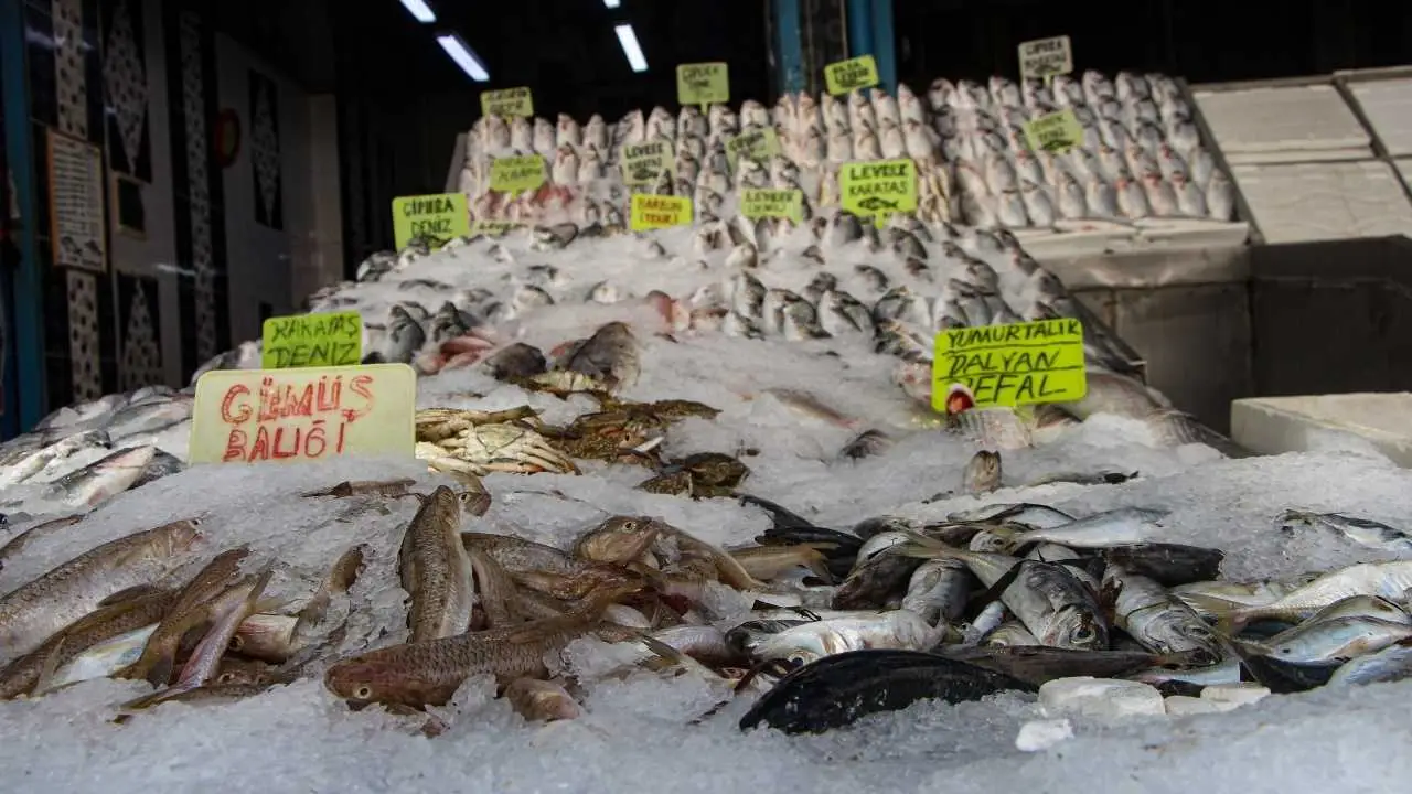 akdenizgercekakdenizde-acilan-av-sezonu-balik-fiyatlarini-dusurdu2.webp