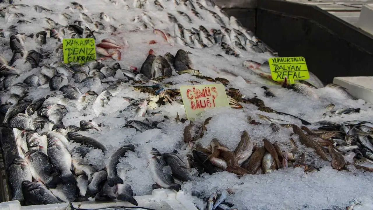 akdenizgercekakdenizde-acilan-av-sezonu-balik-fiyatlarini-dusurdu3.webp