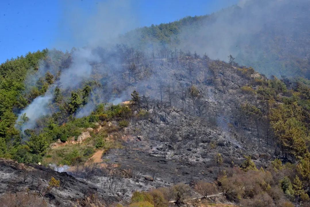 antalyada-24-saatte-21-yangin-cikti-200-hektar-alan-zarar-gordu-5.webp