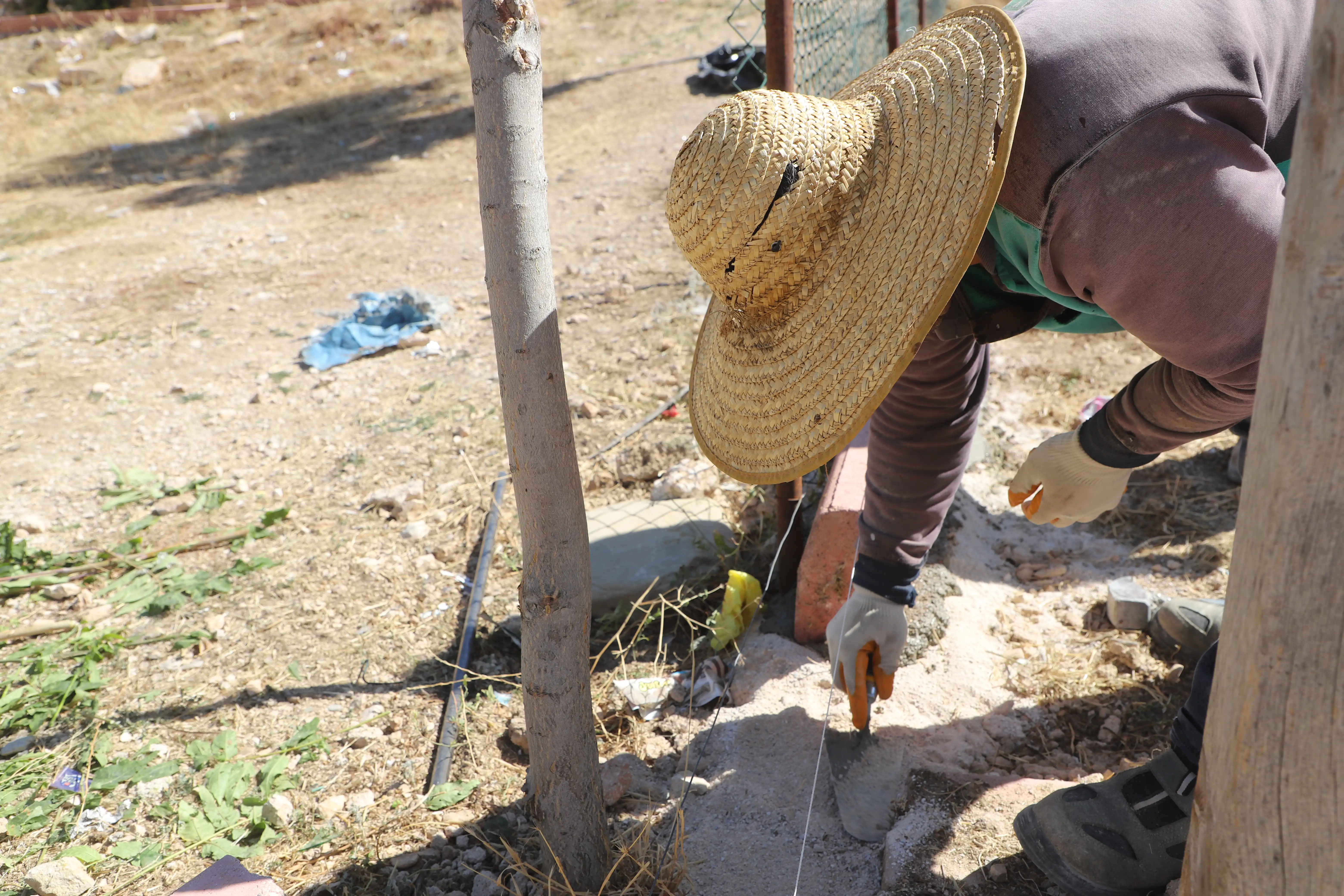 img-9537akdeniz-gercek.webp