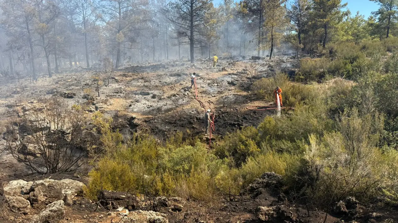 antalyada-4-gunde-yeni-yangin-kepezde-sera-atigi-iddiasi-2.webp