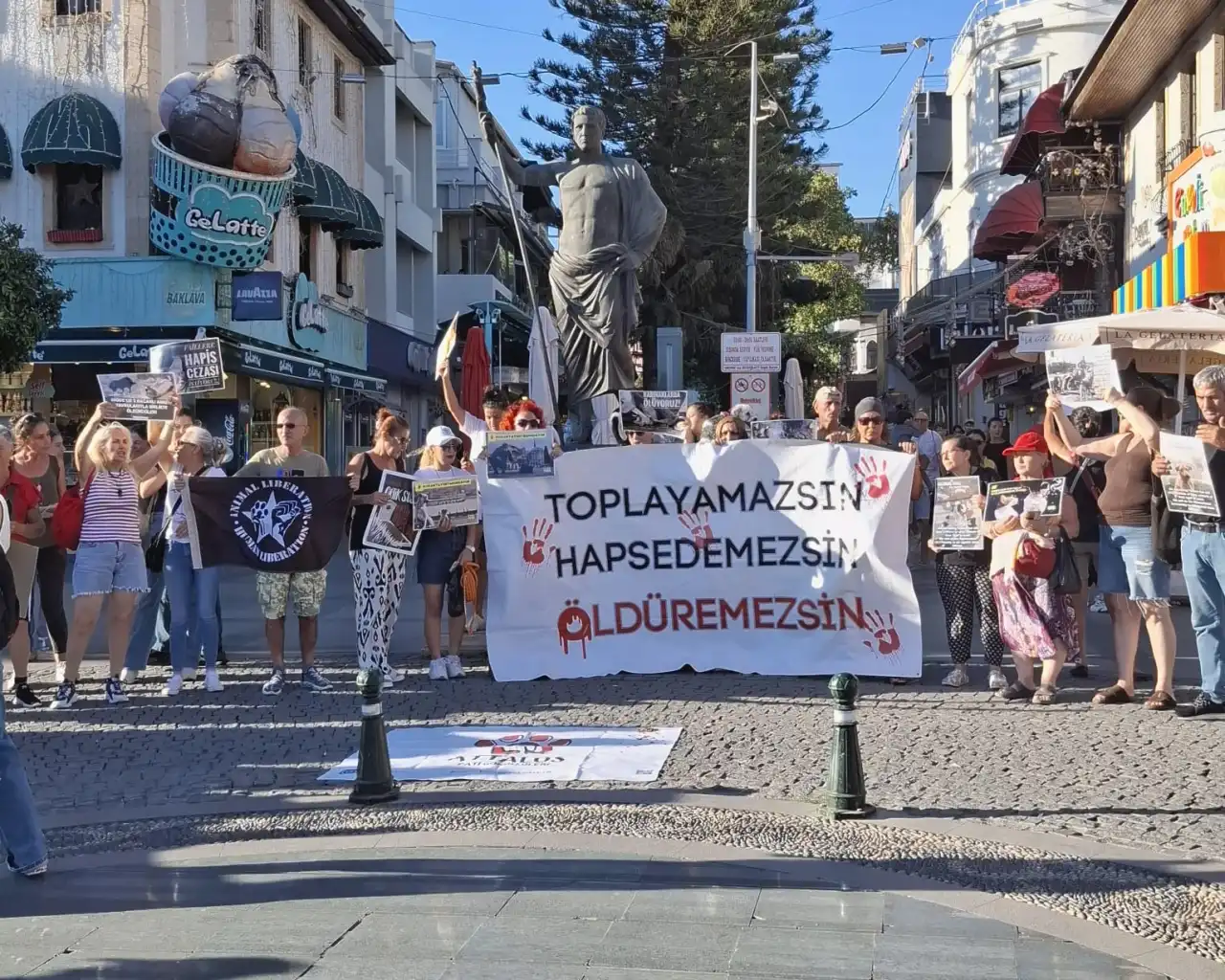 antalyada-hayvanseverlerden-icisleri-bakani-ali-yerlikayaya-sert-tepki-3.webp