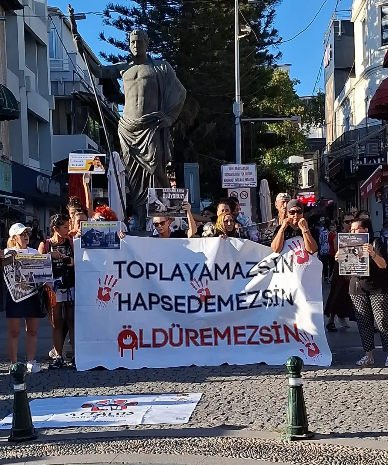 antalyada-hayvanseverlerden-icisleri-bakani-ali-yerlikayaya-sert-tepki-4.webp