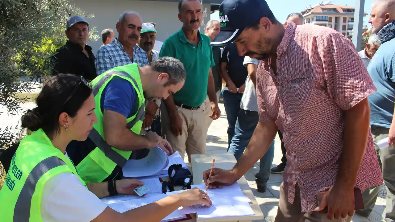 akdenizgercek-gazipasada-ureticiye-zeytin-fidani-surprizi-2.webp