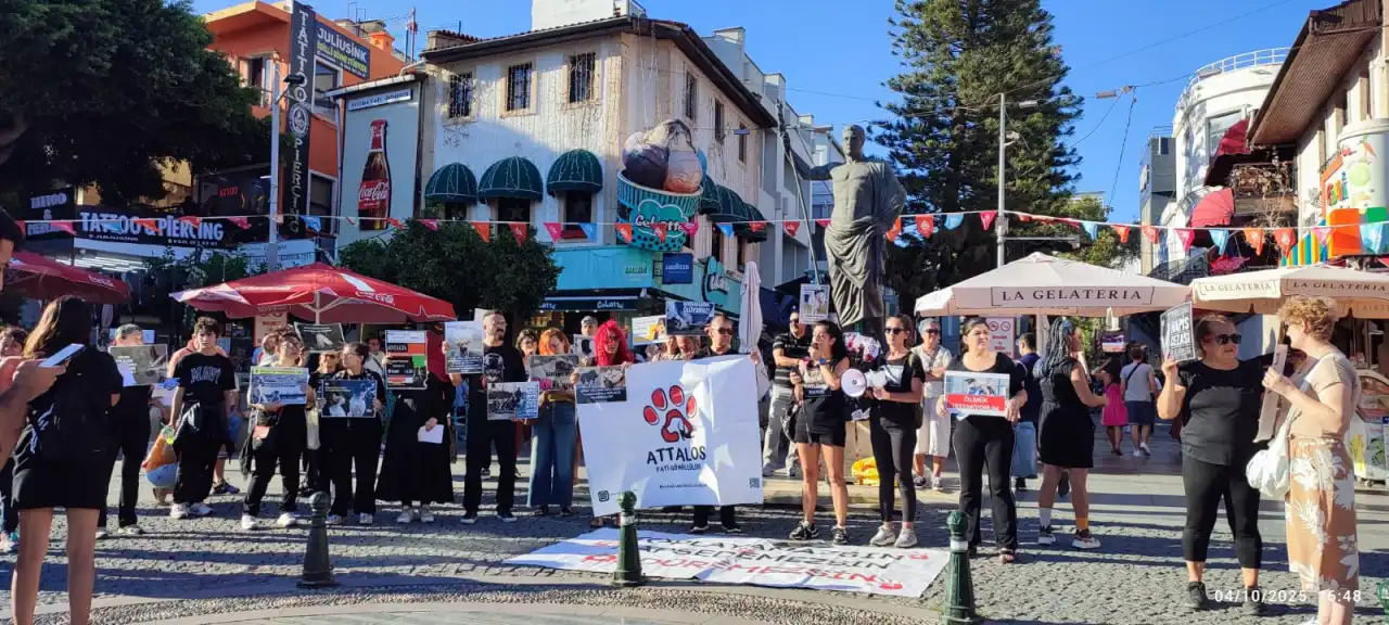 hayvan-haklari-gununde-gonullulerden-antalyada-tepki-3.webp