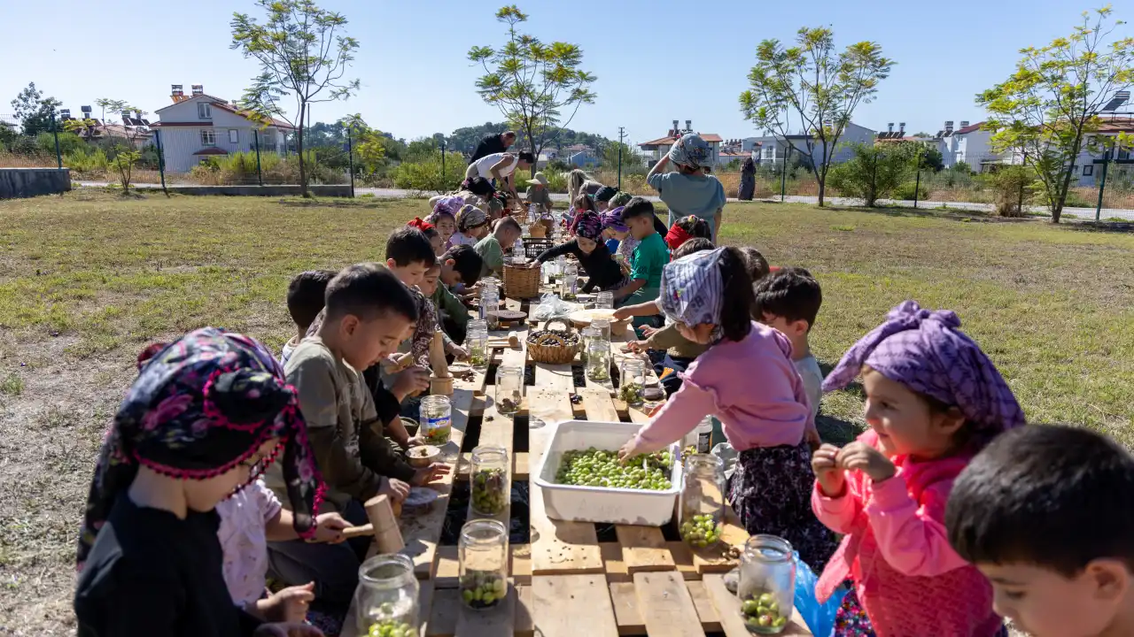 akdenizgercek-manavgatta-minikler-zeytin-hasadinda-dogayla-bulustu-7.webp