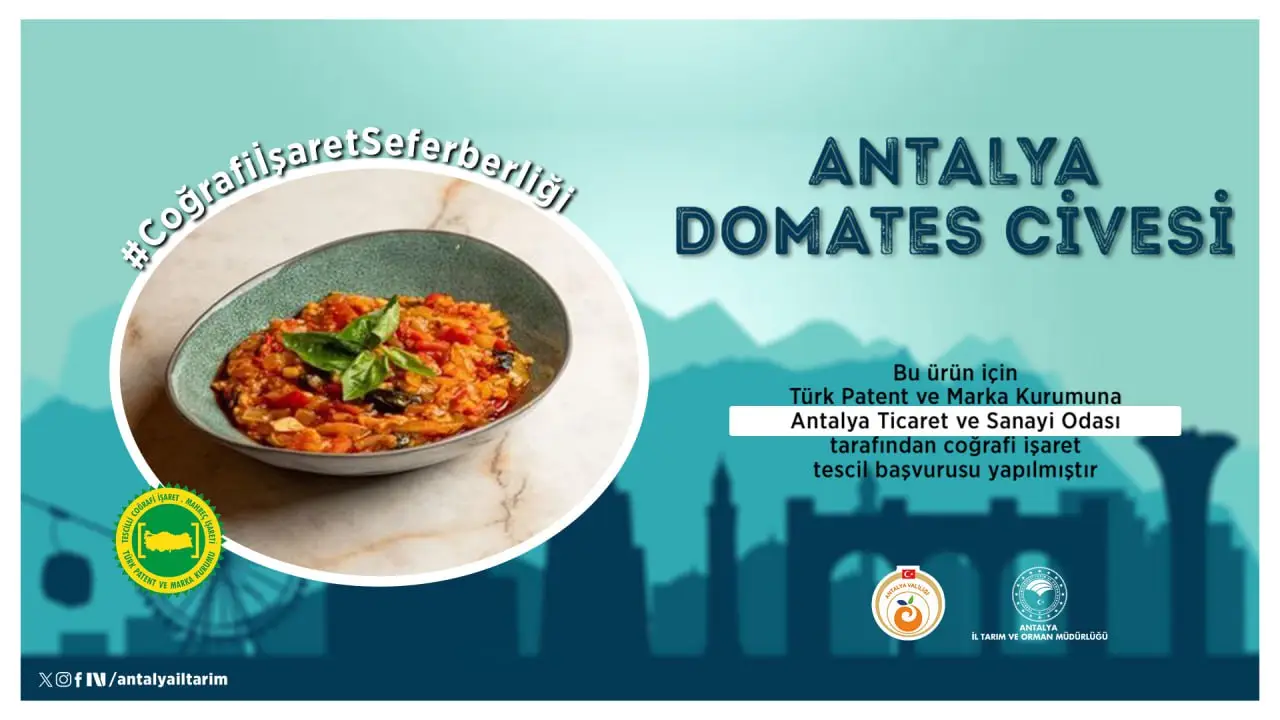 civesiz-olmazdi-atso-basvurdu-antalyanin-unlu-domates-civesi-tescillenecek-2.webp