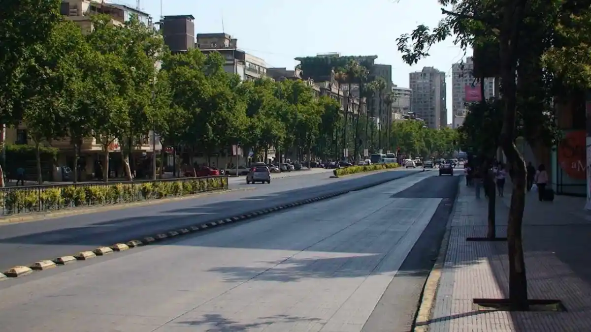 akdenizgercekkonyaaltinda-yeni-donem-sarkan-agac-dallarina-ceza-geliyor.webp