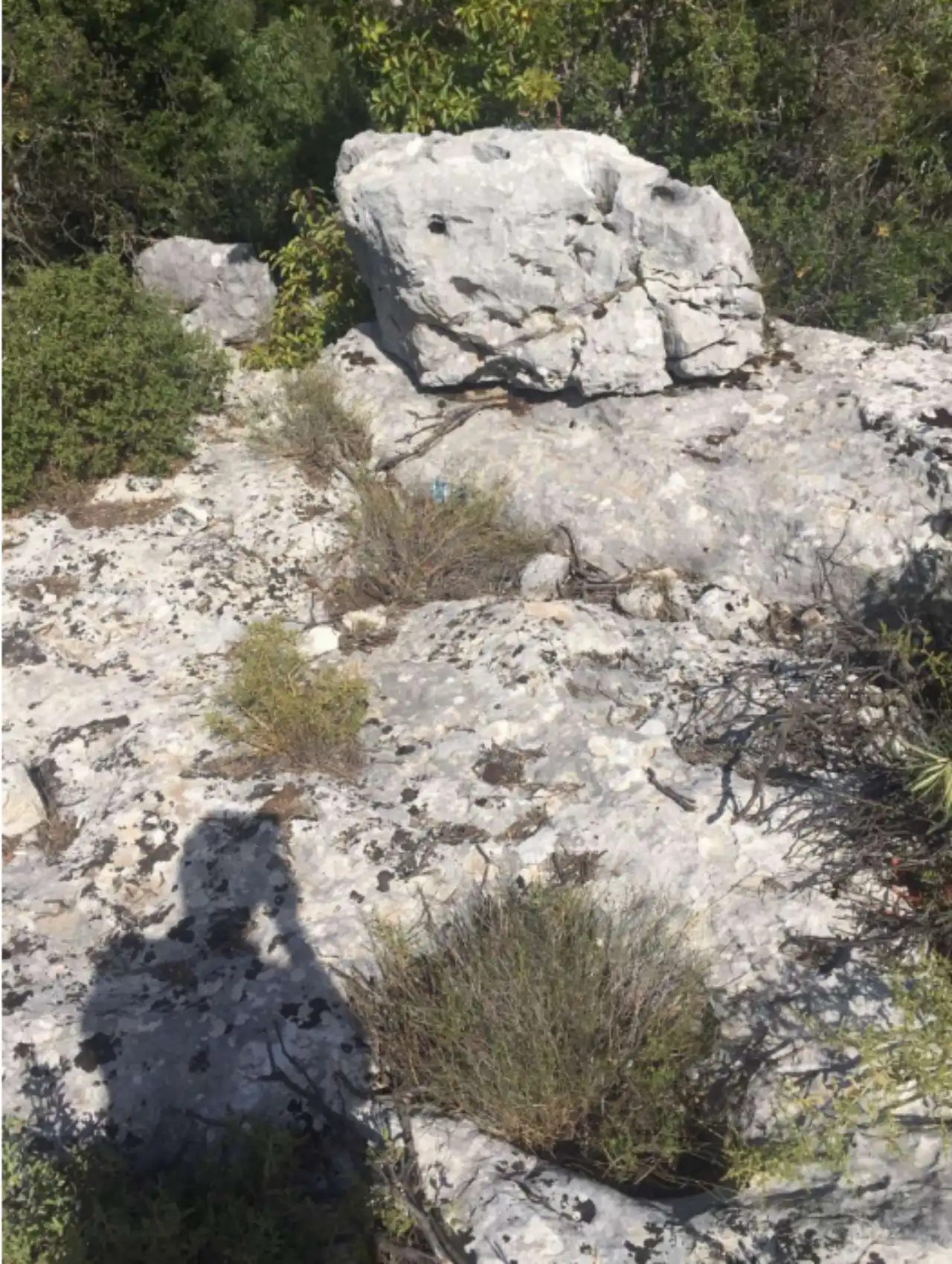 kasta-halk-kazandi-mermer-ocagina-yargidan-dur-karari-5.webp