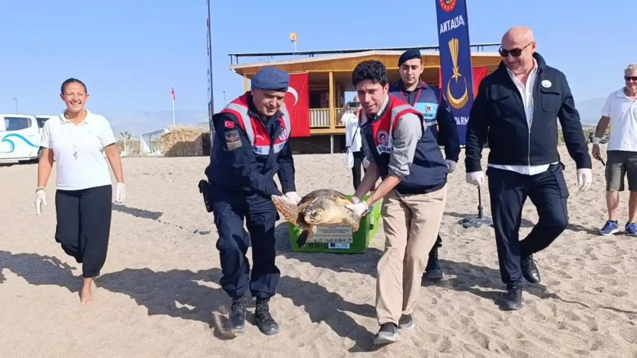 antalyada-yarali-caretta-zuhal-yeniden-denizle-bulustu-3.webp