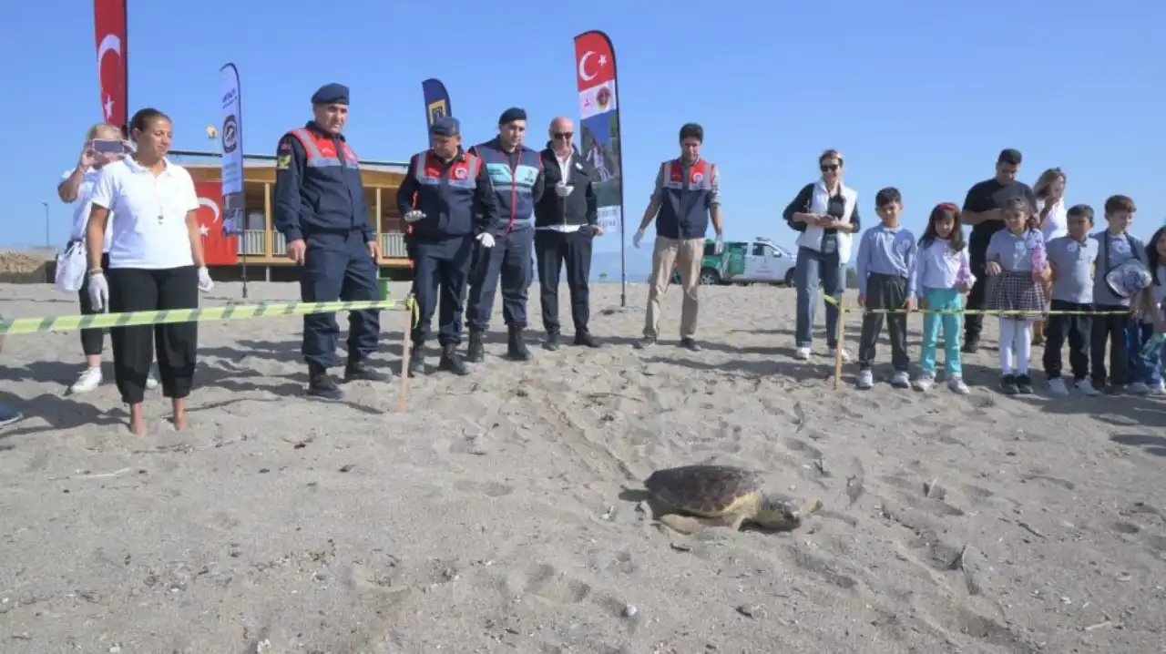 antalyada-yarali-caretta-zuhal-yeniden-denizle-bulustu-4.webp