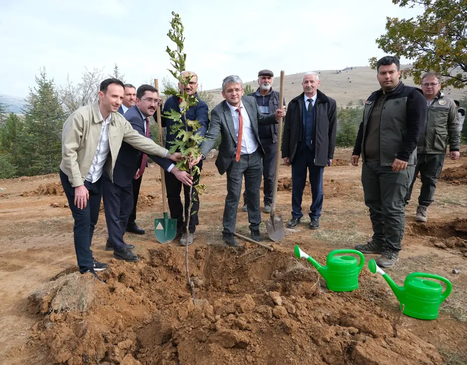 yalvaca-45-bin-nefes-her-vatandasa-bir-fidan-dikiliyor-6.webp