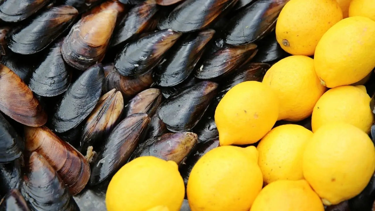bocek-ailesi-olayi-sonrasi-antalyadan-midye-dolma-uyarisi-2.webp