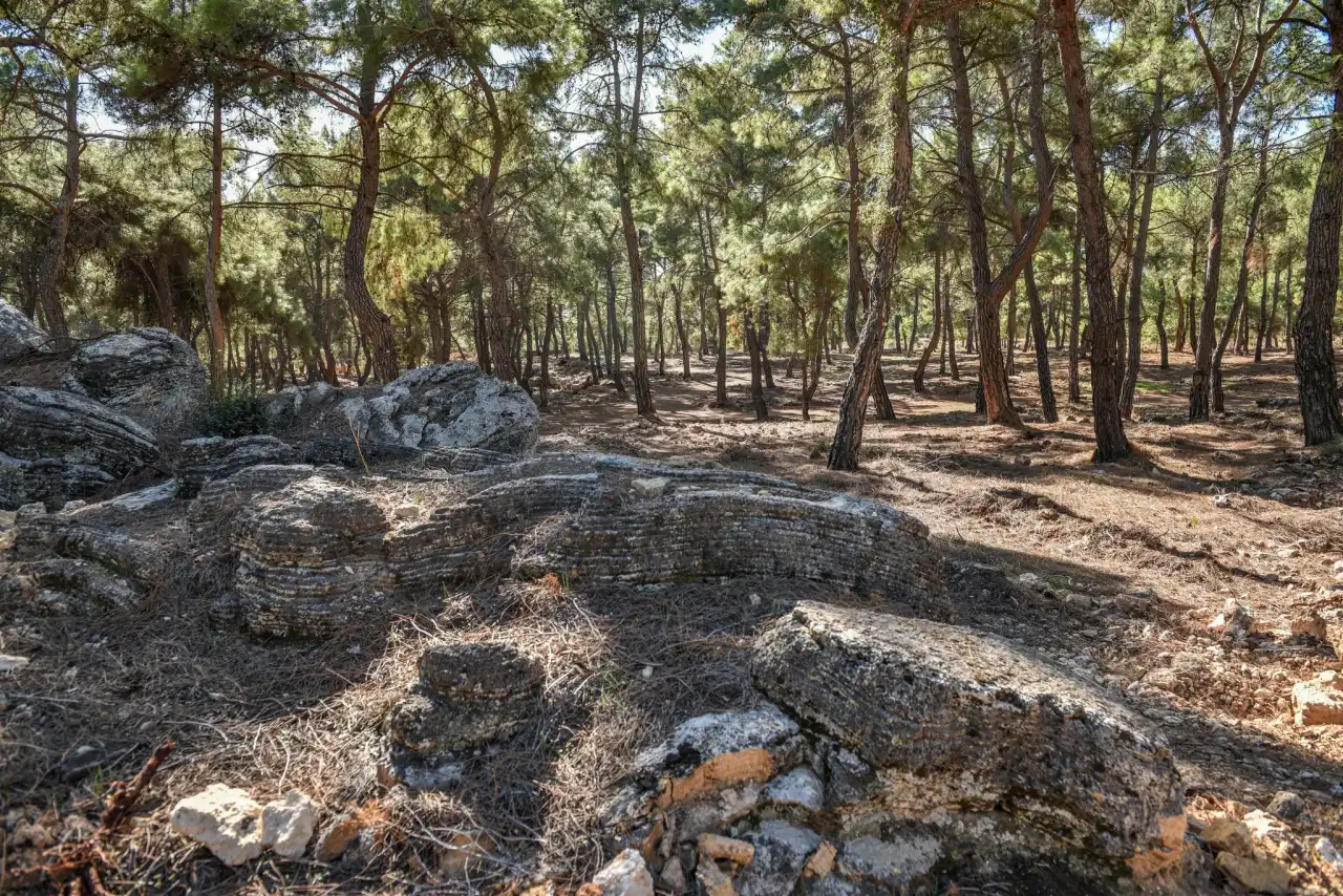 antalya-millet-ormani-20-yilligina-kiraya-cikti-kira-bedeli-825-bin-tl-7.webp