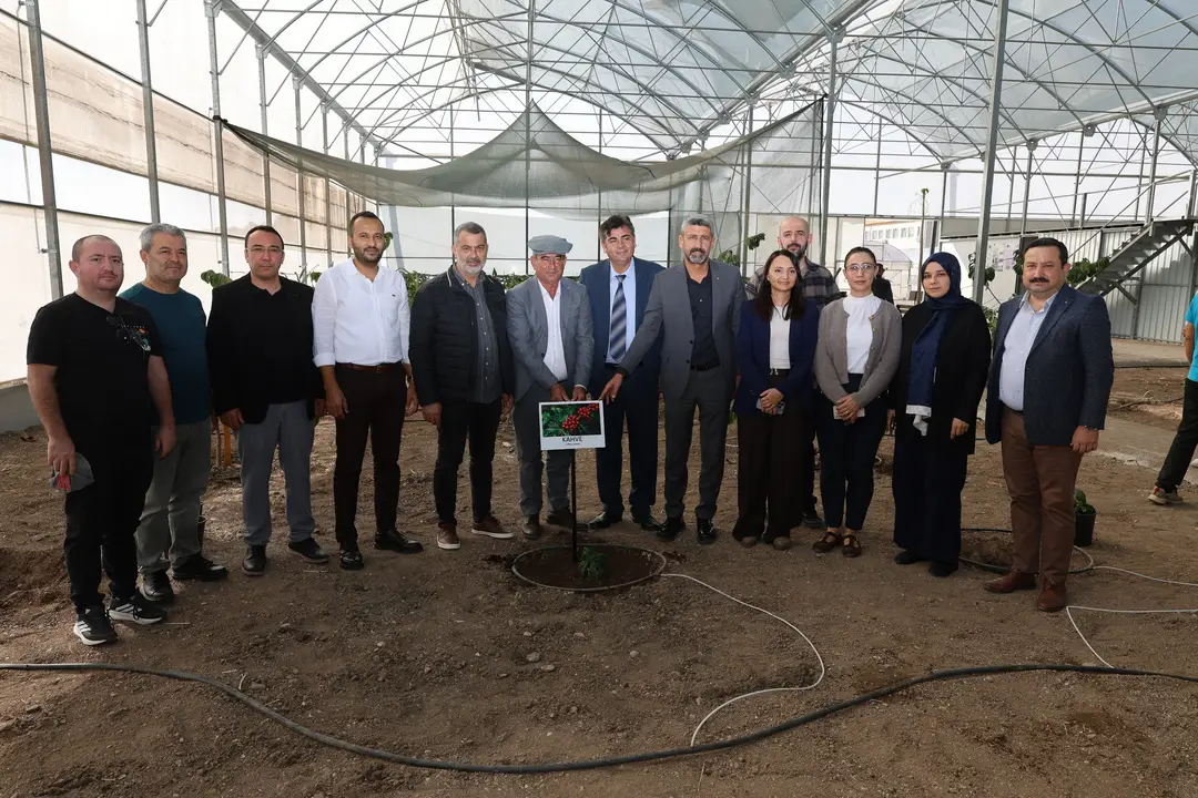 kahve-bitkisi-kumlucada-toprakla-bulustu-bati-antalyada-yerli-uretim-icin-ilk-adim-2.webp