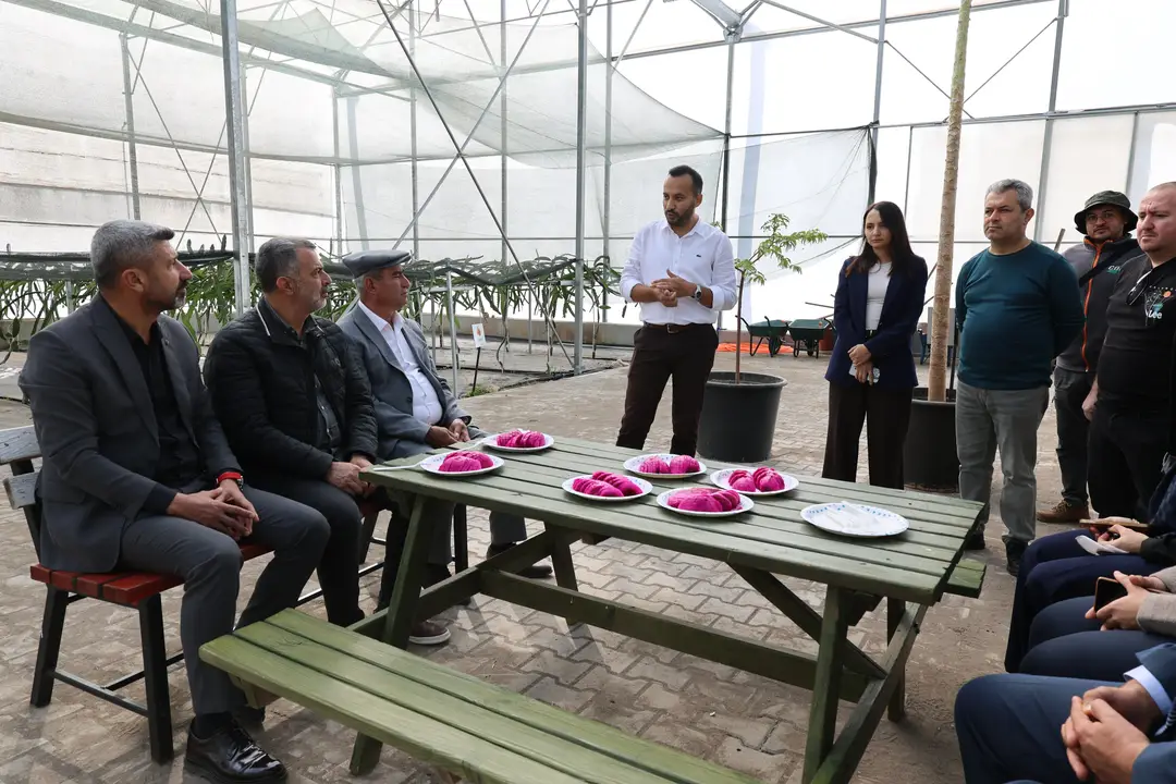 kahve-bitkisi-kumlucada-toprakla-bulustu-bati-antalyada-yerli-uretim-icin-ilk-adim.webp