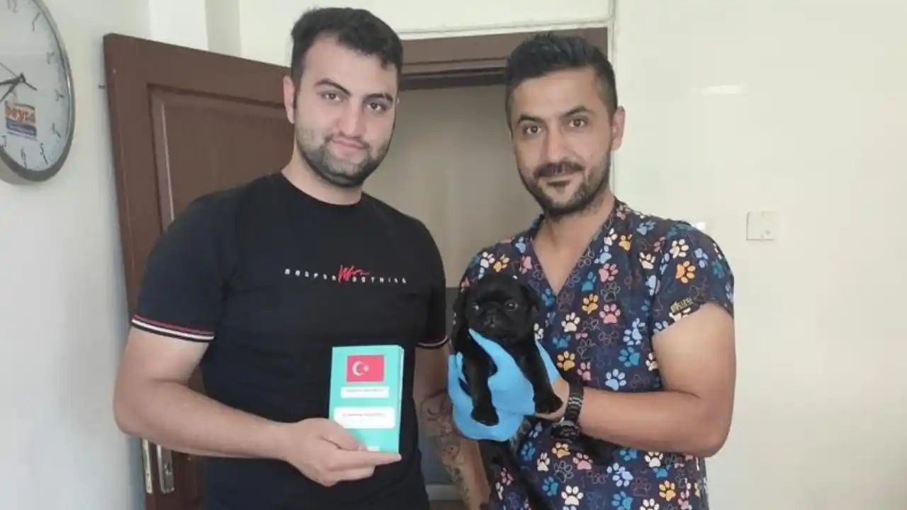 adanada-kedi-ve-kopekler-icin-kimlik-sarti-son-tarih-31-aralik-1.webp