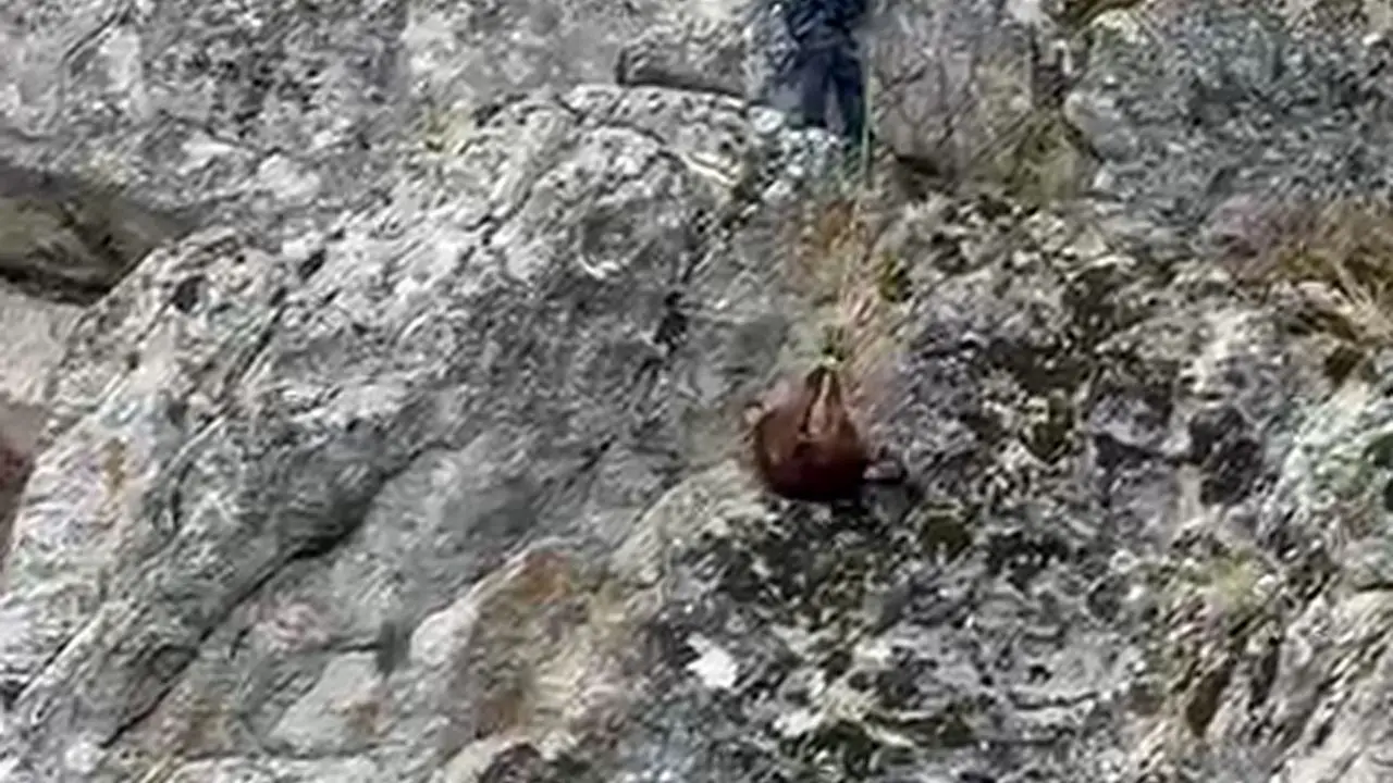 akdenizgercekburdurda-mahsur-2.webp
