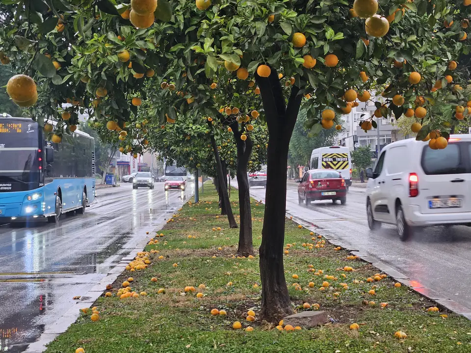 2antalyada-firtina-yagmur-turunclari-yollara-doktu.webp