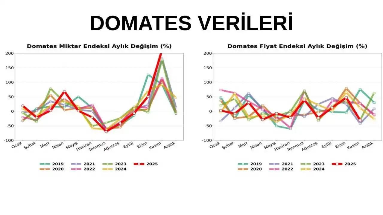 akdenizgercek-antalya-hallerinde-domateste-7-yilin-en-sert-dususu-4.webp