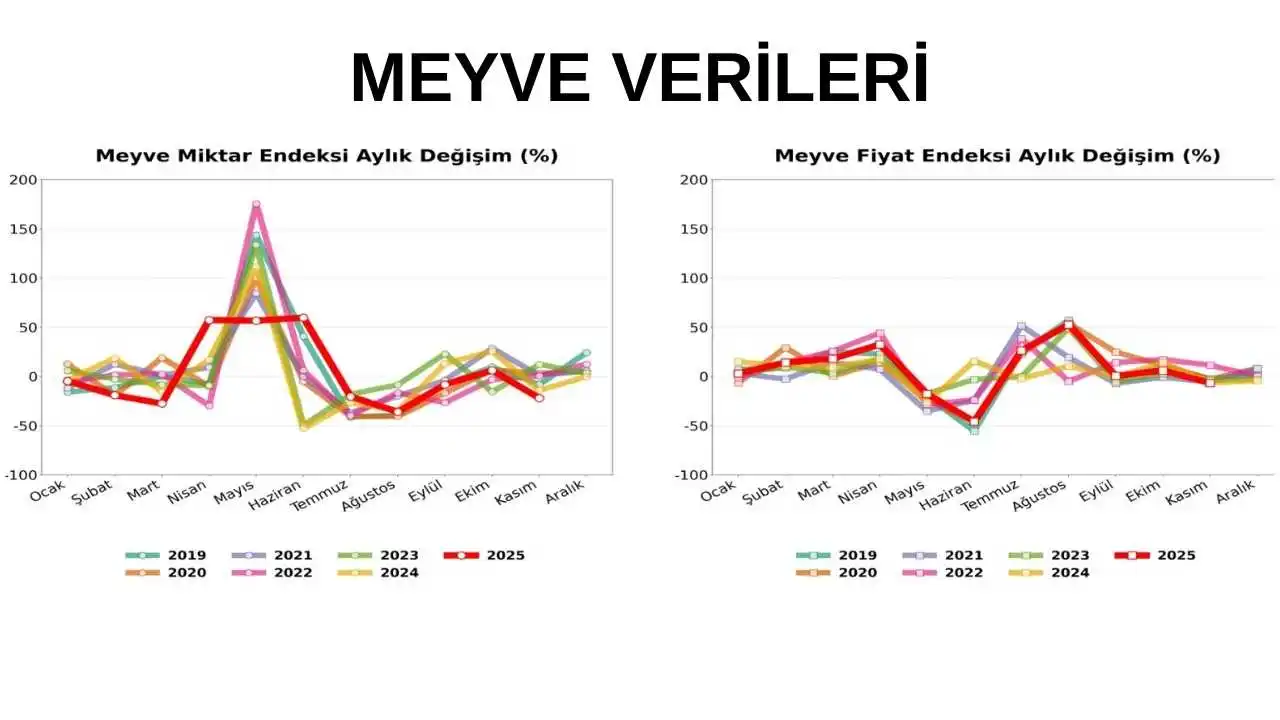 akdenizgercek-antalya-hallerinde-domateste-7-yilin-en-sert-dususu-5.webp