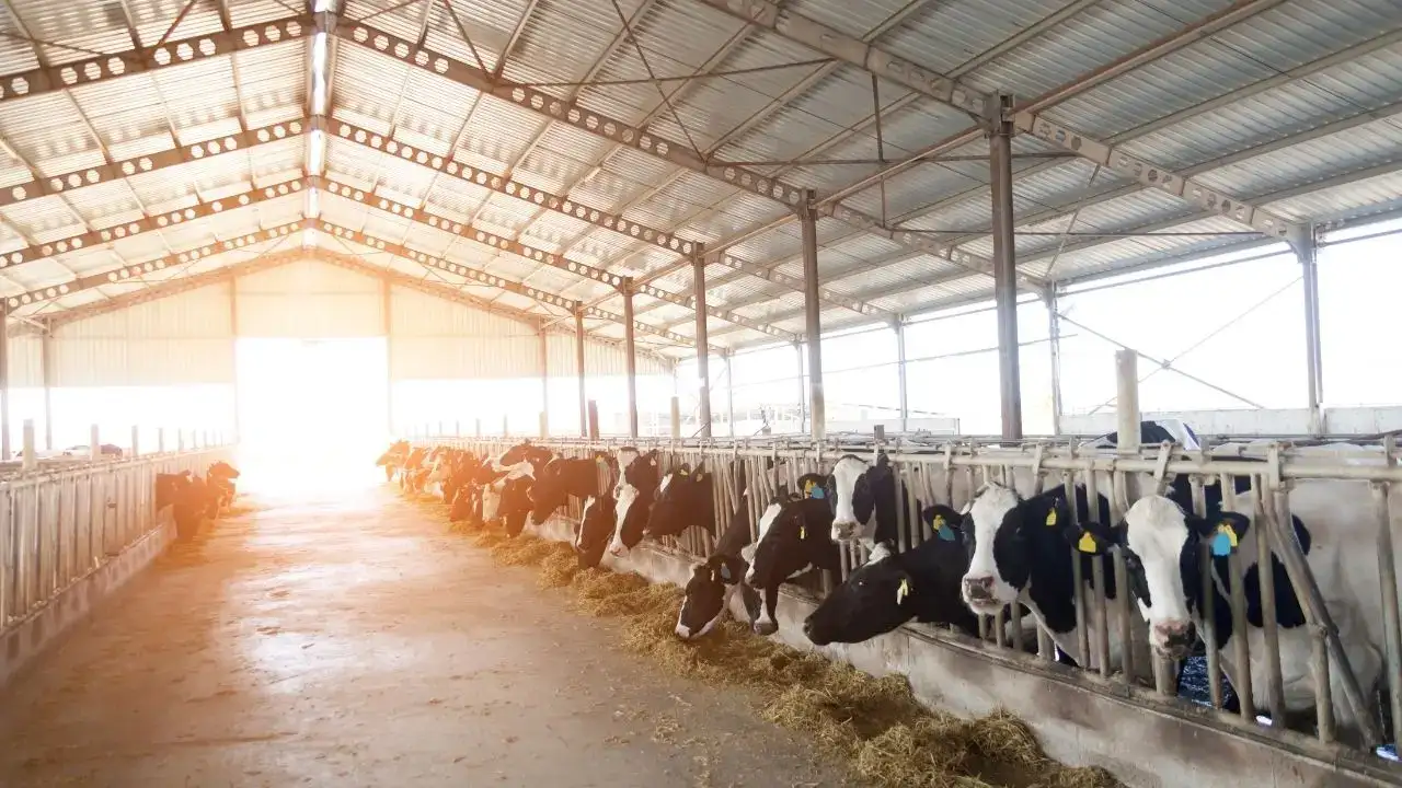 antalyada-uretici-net-konustu