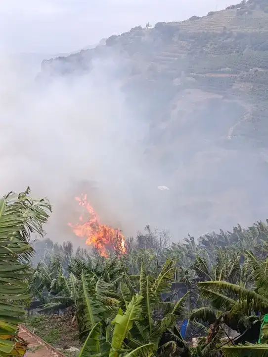 gazipasada-muz-bahceleri-yandi-3-saatte-sonduruldu-3