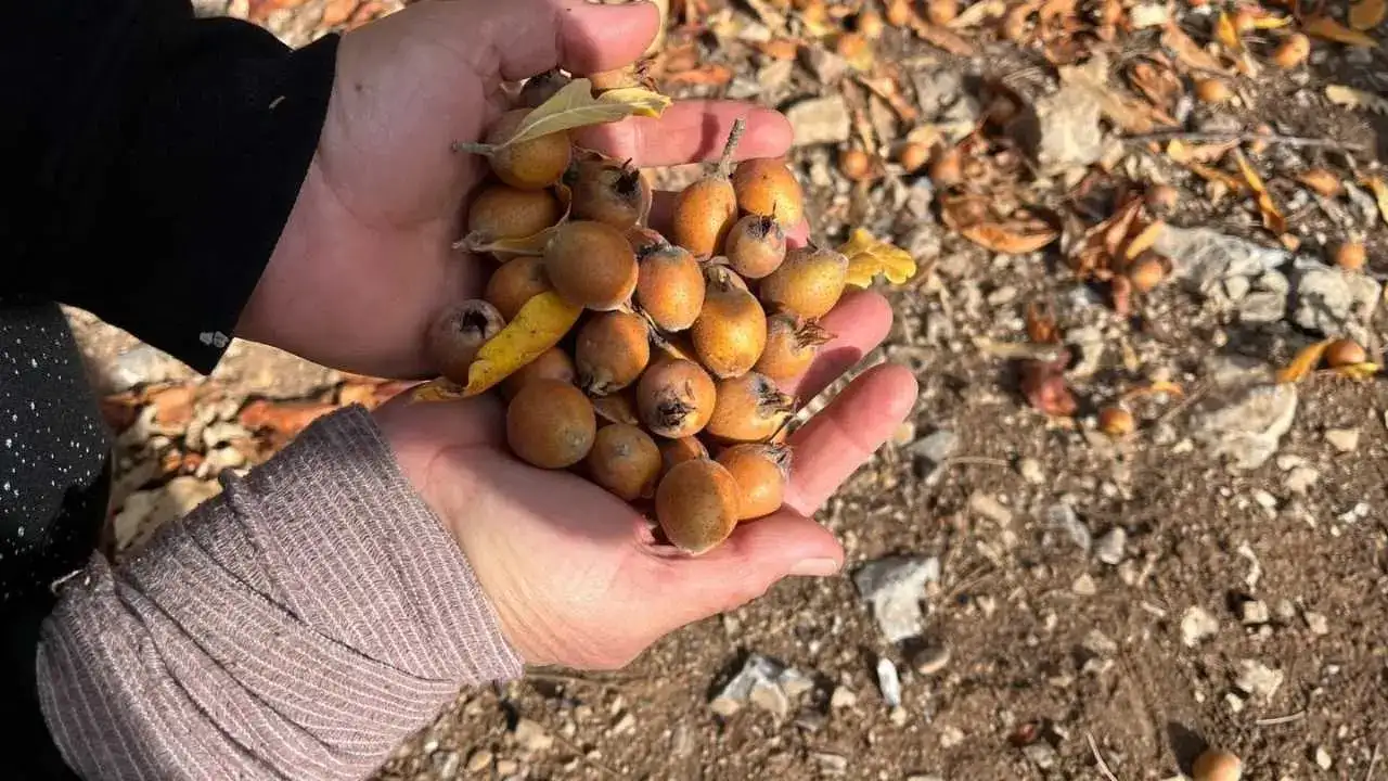 akdenizgercekpazara-iniyor2