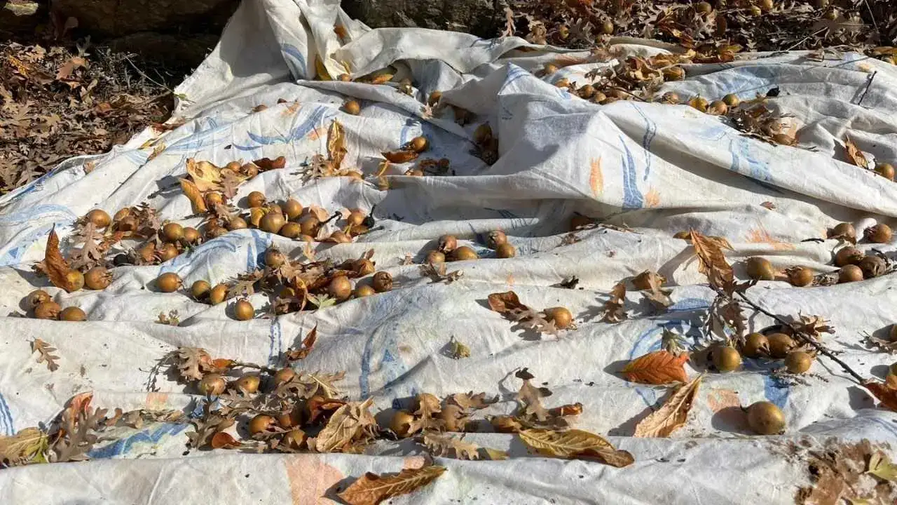 akdenizgercekpazara-iniyor4