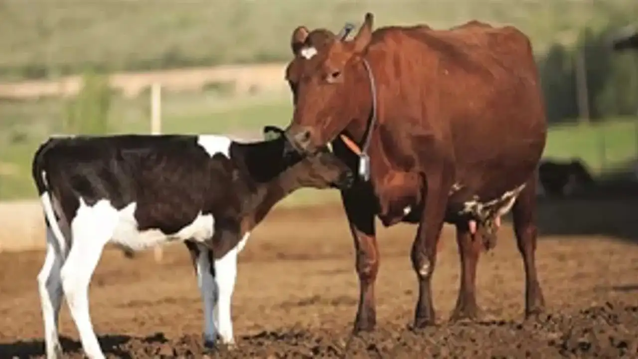 akdenizgercekithalat-tepkisi2