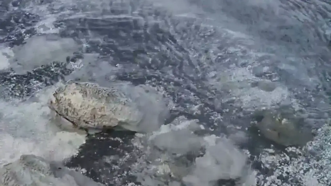 akdenizgercekneden-cekiliyor3