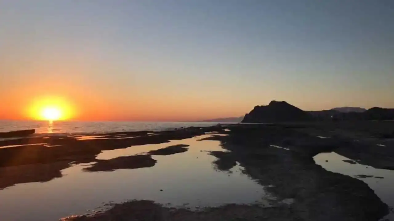 gazipasada-akdeniz-foklari-ve-carettalar-yok-sayildi