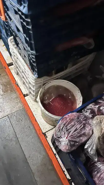 kepezde-soguk-hava-deposundan-574-kilo-bozuk-gida-cikti