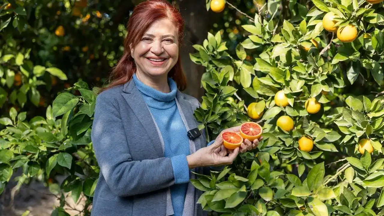 akdenizgercekkan-portakali-2