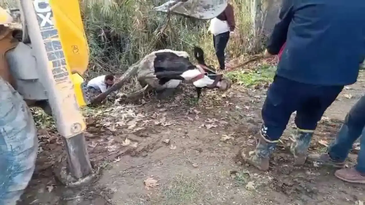 akdenizgercekalisilmadik-operasyon3