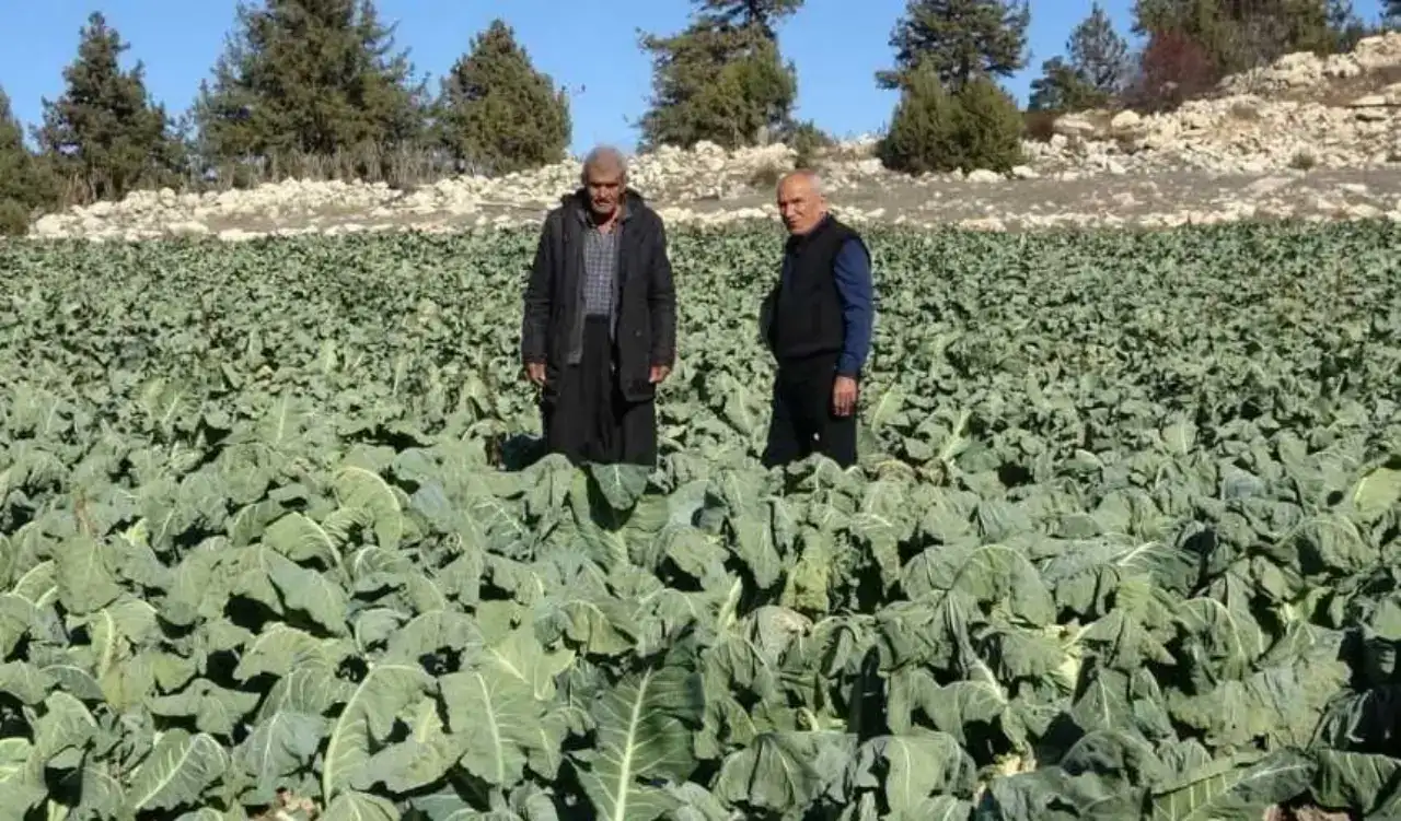 akdenizgercekmersinde-corapla-3