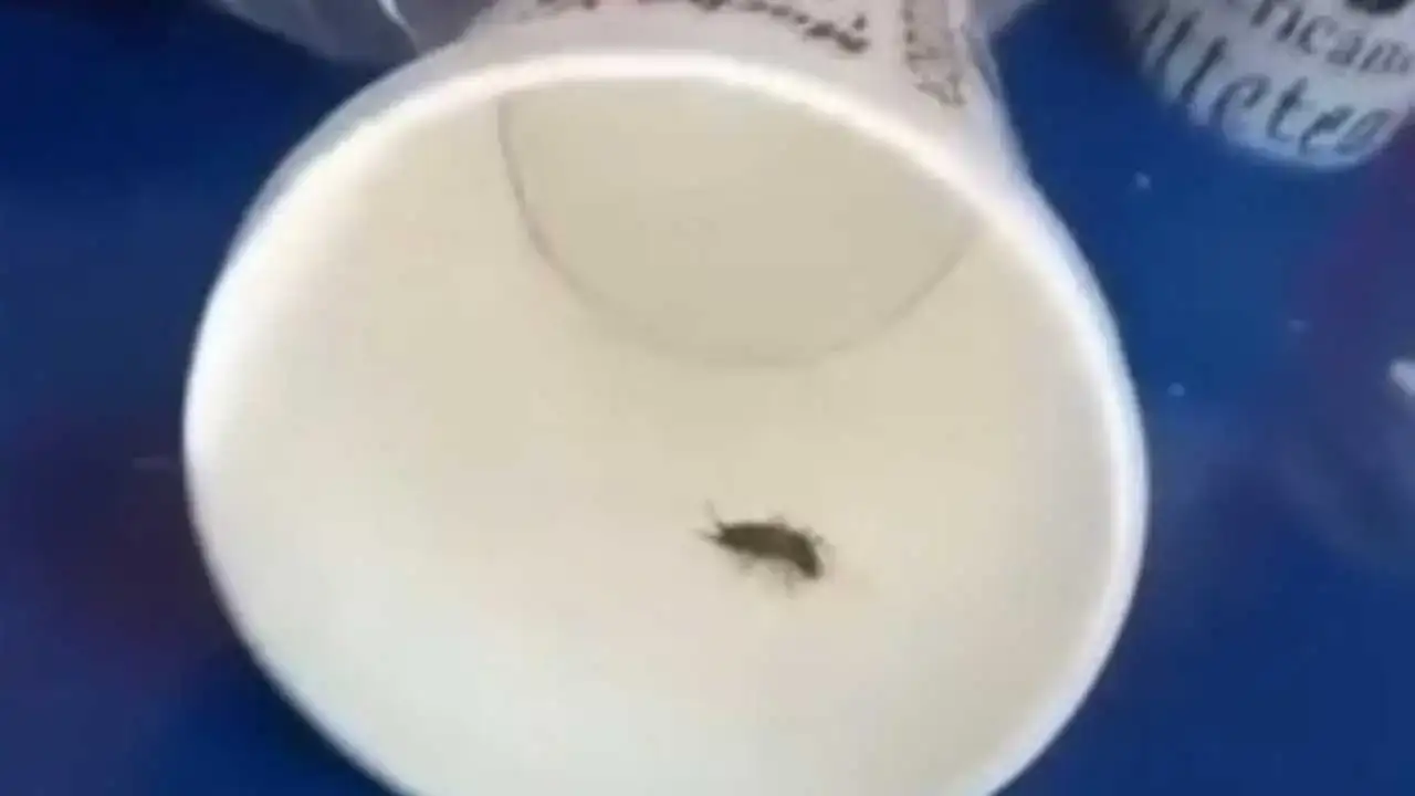 akdenizgercekdonercide-saglik-4