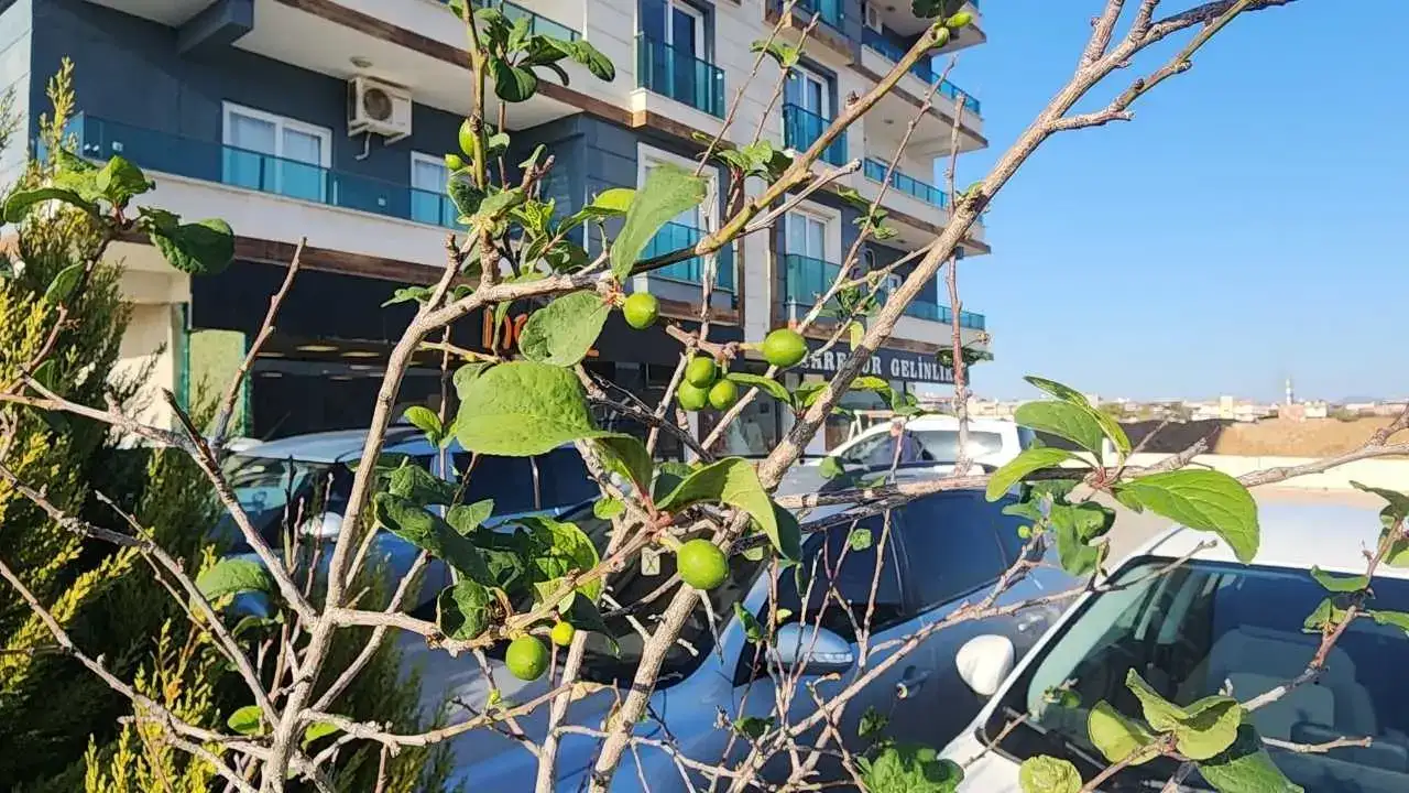 akdenizgercektersine-dondu2