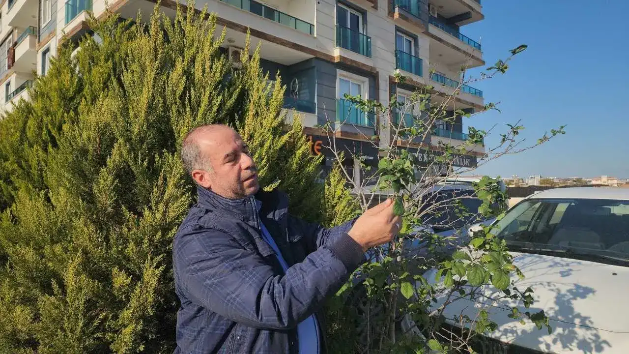 akdenizgercektersine-dondu3